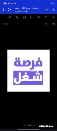 وظيفة فرصه عمل