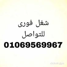 عمال انتاج في مصنع فراولة