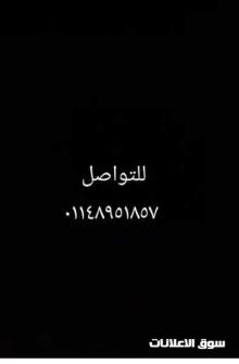 مطلوب عامل لمصنع توابل