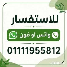افراد امن مركزي