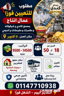 يعلن مصنع كاندي وشيكولاتة ومكسرات ومقرمشات وإندومي عن فتح باب التعيين لعمال الإنتاج