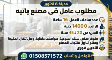 مطلوب عامل فى مصنع باتيه